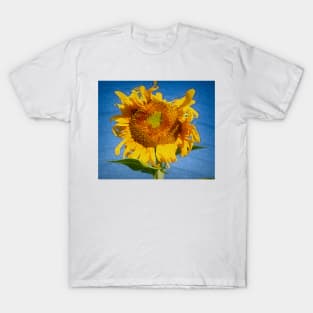 A Breath Of Fresh Air T-Shirt